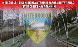 Muş’ta 5 günlük hava tahmin raporu: Kar yağışı devam edecek mi?