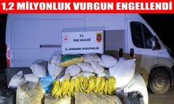 Muş’ta tütün operasyonu: 1,2 milyon TL değerinde kaçak ürün ele geçirildi