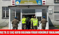 Jandarmadan suç makinesine şafak darbesi: 30 yıllık firar Hasköy’de son buldu