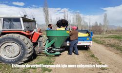 Erzincan’da 7 Köyde Mera Islah Seferberliği