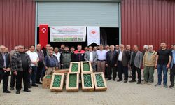 Bingöl'de 330 bin sebze fidesi üreticilere dağıtıldı