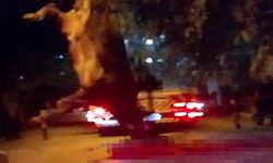 Dereye düşen kurbanlık dana vinçle kurtarıldı