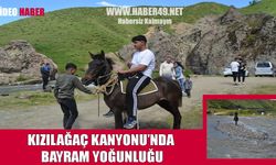 Muş’ta doğaseverlerin yeni cazibe merkezi