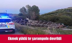 Malatya'da ekmek yüklü tır şarampole devrildi