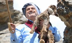 Aydın Aydın’dan örnek davranış: Yavru keçiyi ölümden kurtardı