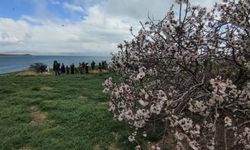 Çarpanak Adası İçin Kritik Uyarı