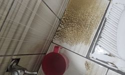 Karayazı’da Çamurlu Su Tepkisi: Vatandaşlar Temiz Su Bekliyor