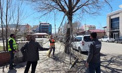 Ardahan Belediyesi Ağaç Budama Çalışmalarına Hız Verdi