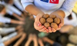 Van’da Minik Öğrencilere Çevre Bilinci Eğitimi