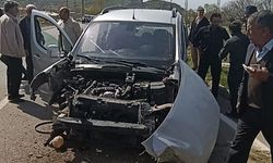 Van Gevaş’ta Kaza: Kamyonet Direğe Çarptı, 1’i Çocuk 4 Yaralı