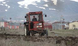 Ardahan’da Ekim Sezonu Başladı: Çiftçiler Tarlalara Döndü