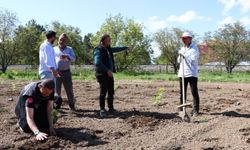 Bahçe Kültürleri Araştırma Enstitüsünden aronya çalışması