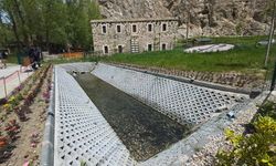 Van’da inci kefalleri tarihi Horhor Camii önünde görüntülendi