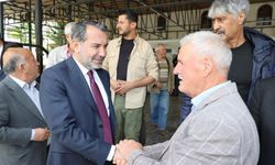 Başkan Şerifoğulları asfalt çalışmalarını inceledi