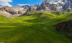 Erzincan’daki Sohmarik Yaylası doğaseverlerin gözdesi oldu