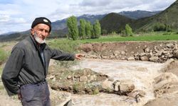 Erzurum’da boz ayı Oltu Çayı’nda telef oldu