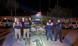 Muradiye’de Yasak Avlanmaya Geçit Yok