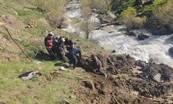 Hakkari’de bataklığa saplanan inek kurtarıldı