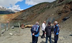 Hakkari’de Kurban pazarı hareketlendi