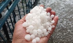 Malatya'da dolu kayısı bahçelerine zarar verdi