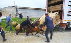 Erzincan’da yayla yolculuğu başladı