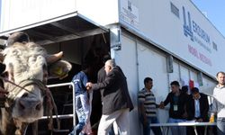 Erzurum’da kurban kesim kurallarına uymayanlara ceza uygulanacak