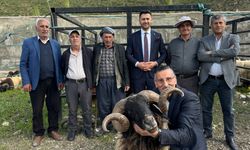Yüksekova’da hayvan pazarında bayram hareketliliği