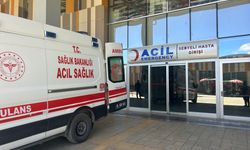 Van'da 171 acemi kasap hastanelik oldu