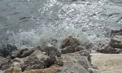 Van Gölü’nde rüzgar etkisi: Dev dalgalar oluştu