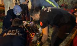 Van’da iki aracın karıştığı kazada 8 kişi yaralandı