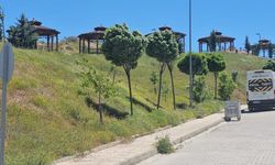 Elazığ’da şiddetli rüzgar etkili oldu, günlük yaşam olumsuz etkilendi