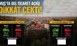 Muş’ta dış ticaret açığı: Nisan ayında 22,2 milyon dolarlık ithalat