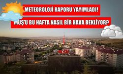 Muş’ta bahar yeniden yüzünü gösteriyor: Sıcaklıklar artıyor