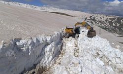 Beytüşşebap’ta 7 metreyi aşan karda yol açma çalışmaları sürüyor
