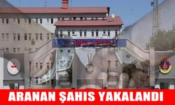 Varto’da firari şahıs jandarma operasyonuyla yakalandı