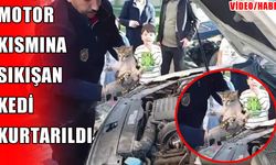 Muş’ta motor bölümüne sıkışan kedi itfaiye ekiplerince kurtarıldı