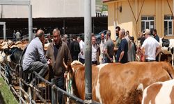 Elazığ Hayvan Pazarı’nda arife günü yoğunluğu