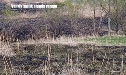 Van'da sazlık alanda yangın