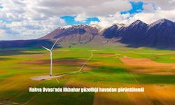 Rahva Ovası İlkbaharla Yeşile Büründü