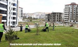 Elazığ’da kent genelinde yeşil alan çalışmaları sürüyor