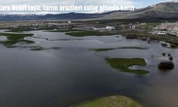 Kura Nehri taştı, tarım arazileri sular altında kaldı