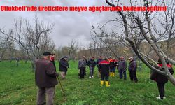 Erzincan Otlukbeli’nde çiftçilere budama eğitimi verildi