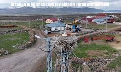 Leyleklerin vazgeçemediği köy: Ağzıpek’te kartpostallık görüntüler