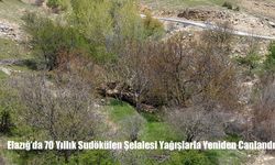 Elazığ’da 70 Yıllık Sudökülen Şelalesi Yağışlarla Yeniden Canlandı