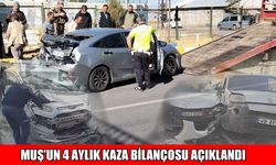 Muş’un 4 aylık kaza bilançosu: 365 kaza, 180 yaralı