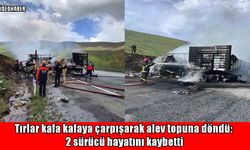 Bitlis’te feci kaza: İki tır kafa kafaya çarpıştı, alevler içinde 2 can gitti
