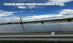 Tercan’da yağışlar nedeniyle tarım arazilerini su bastı