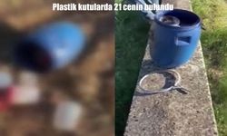 Şanlıurfa’da dehşete düşüren görüntü: Plastik kutularda 21 cenin bulundu