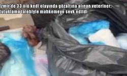 İzmir’de 33 ölü kedi skandalı: Veteriner tutuklama talebiyle mahkemede