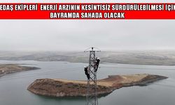 VEDAŞ bayram süresince 7/24 sahada olacak